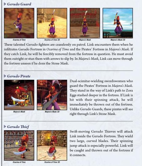 Trained by the Gerudo who are skilled swordfighters