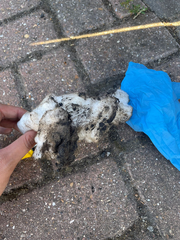 AA92AE87-CD89-4C8C-B6F1-06DC32011708