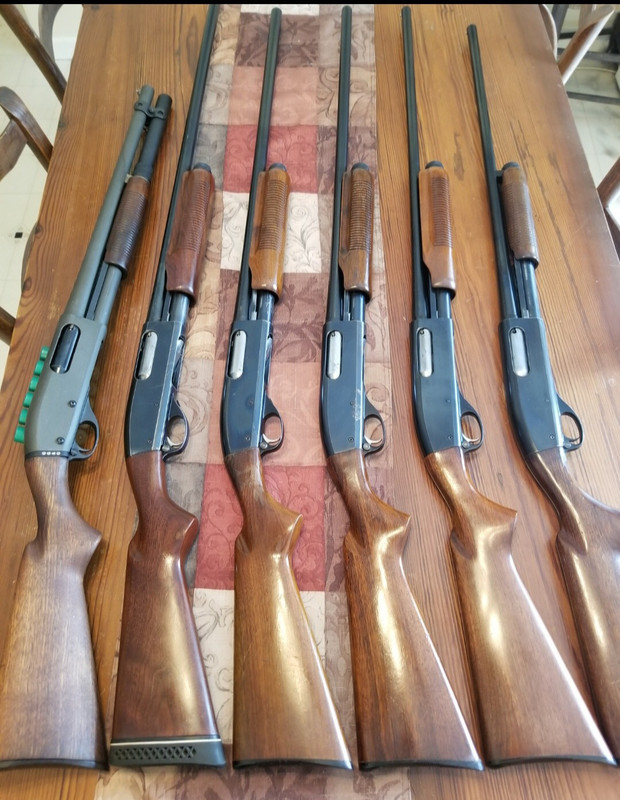 Screenshot_20230408_093515_Gallery