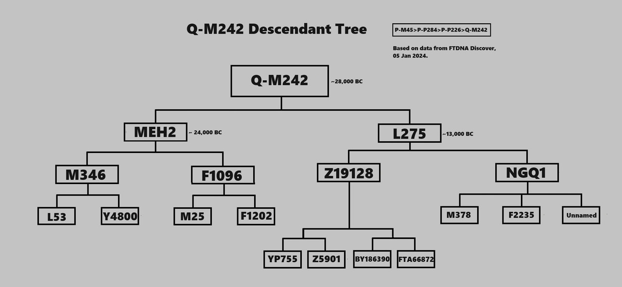 Q-M242 Descendant Tree