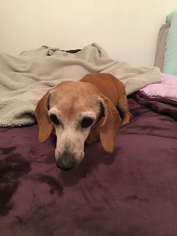 [Image: A480222-C-8867-4485-82-E9-6-A4-CD5-DB8-A7-F.jpg]