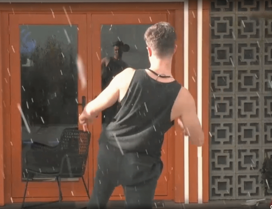 sfde4.gif