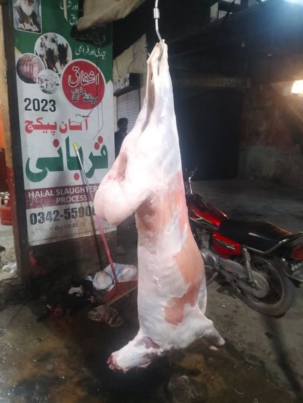 Fresh Inspected Whole Mutton Carcass