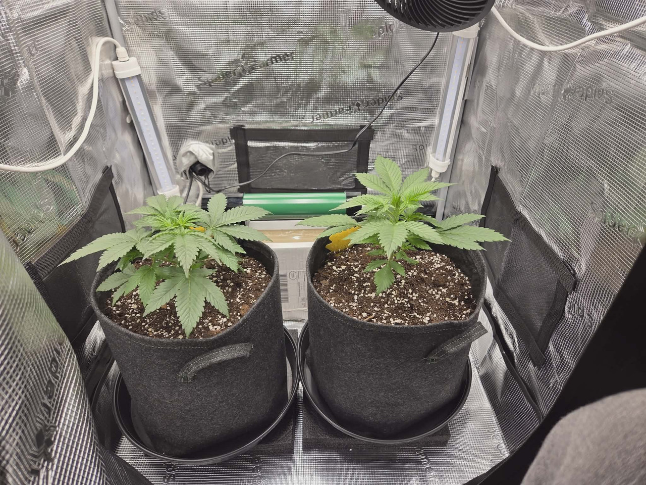 Messenger creation 94B10276 28BD 43C3 BDE2 4174AF621691