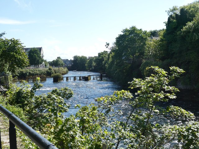 10 días por Irlanda en verano de 2024 - Blogs de Irlanda - DÍA 8 – Abadía Corcomroe – Castillo Dunguaire - Galway (34)