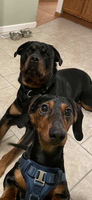 37E2C932-7AE9-4ED8-A5F8-3911362B3522