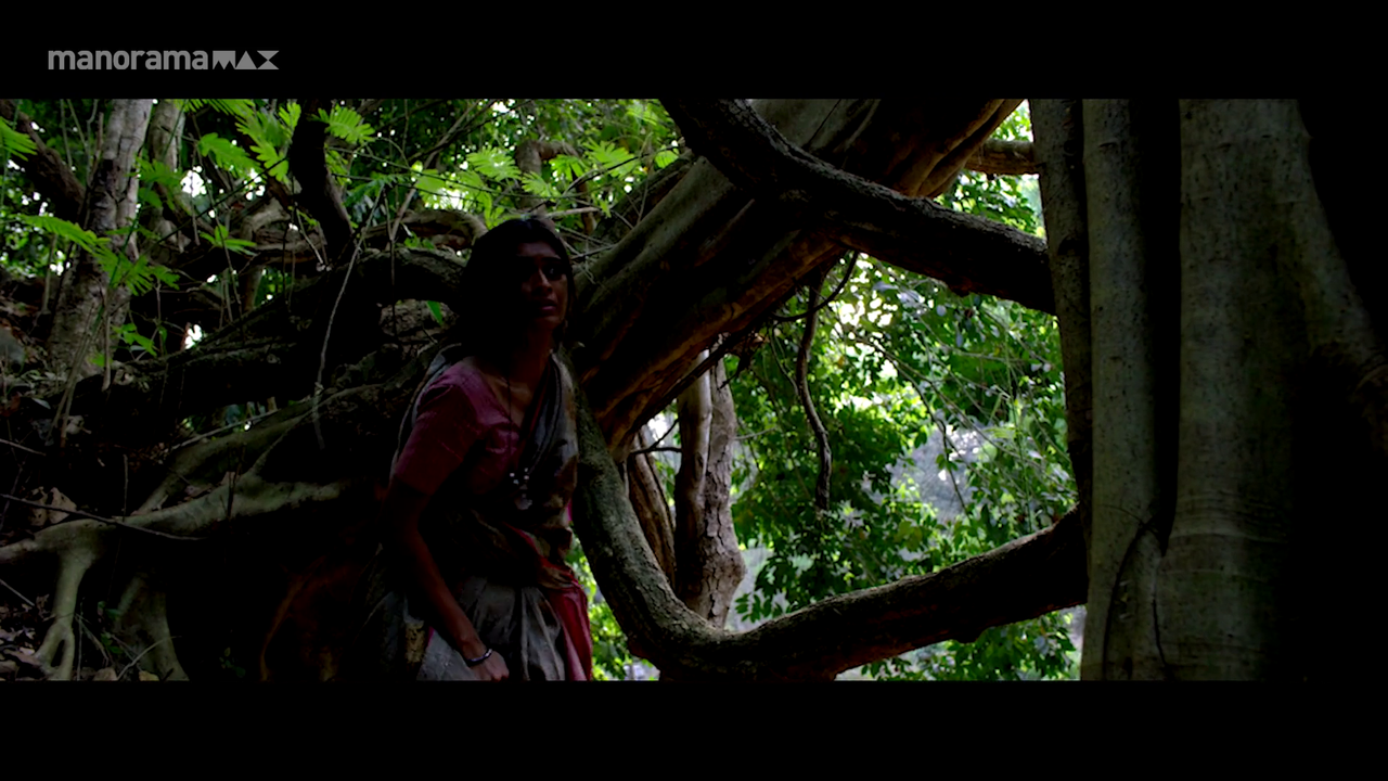 vlcsnap 2025 10 31 19h26m54s345