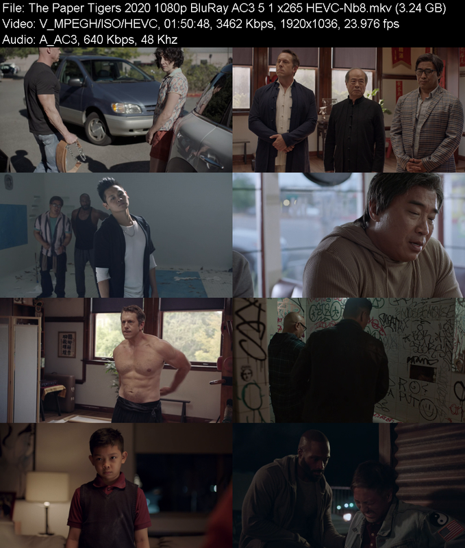 the-paper-tigers-2020-1080p-bluray-ac3-5