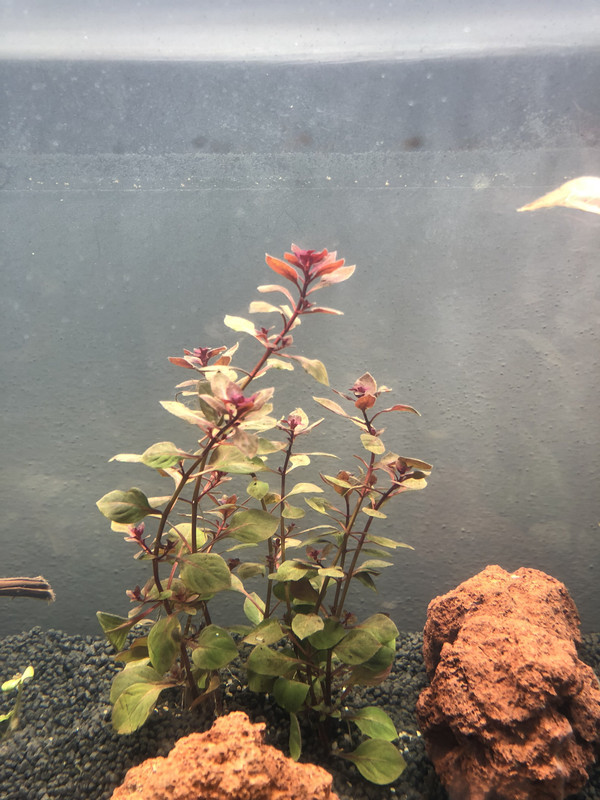 FFCB0BD2-87F5-4392-A9EF-4A9A08489BC5