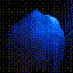 copy_85F9F786-E828-49EE-9C78-0BBF70F77B0D