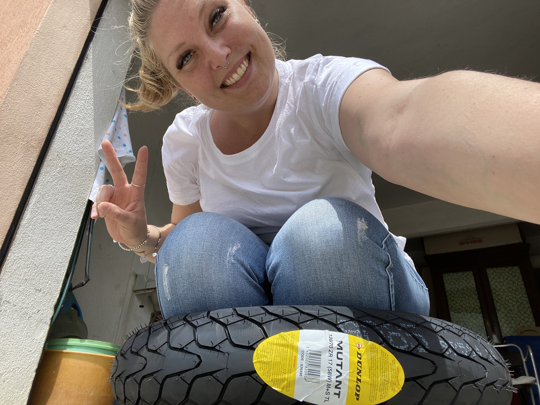 FF7E3644-87DC-4F21-BB3A-0E63D8457146