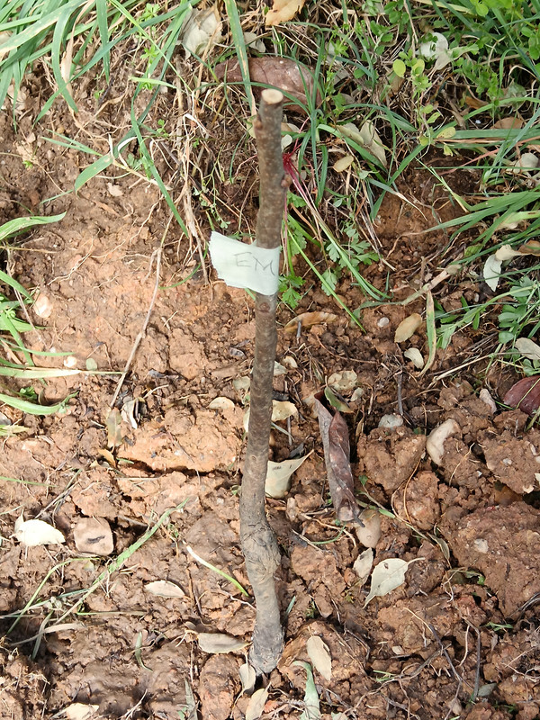 IMG 20260224 135319