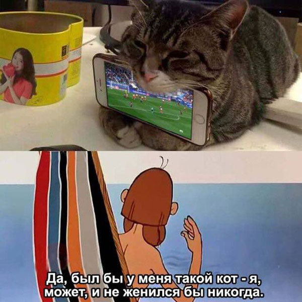 https://i.postimg.cc/cCHhD3tQ/7.jpg