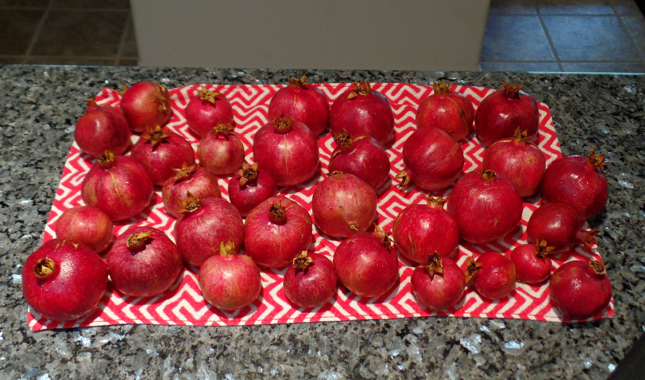 PomsSept5