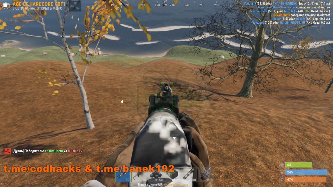 ch-Безымянный3