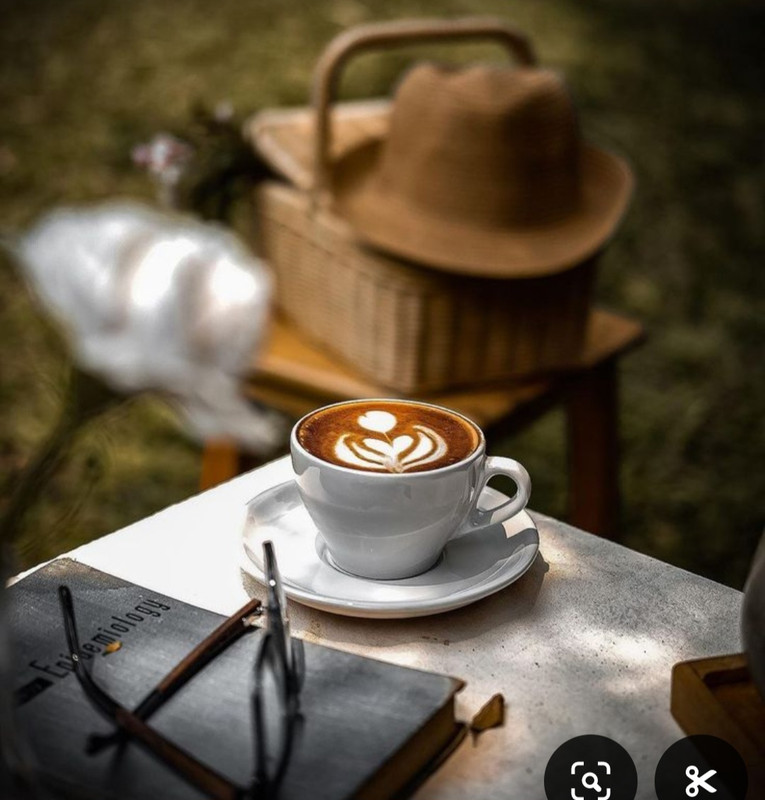 Screenshot_20240715_163707_Pinterest