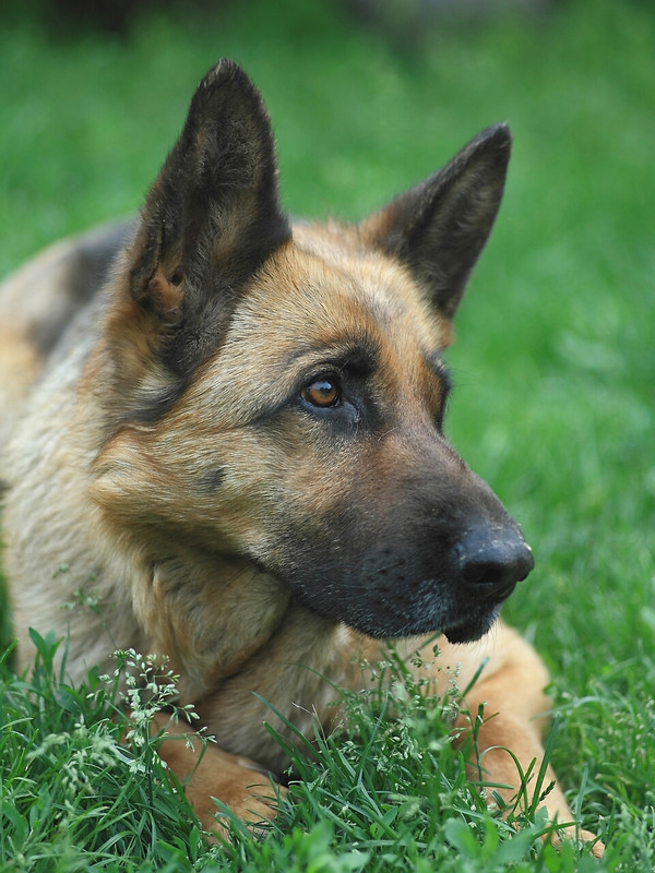 IMG_0138-1.960x1280.911.4K