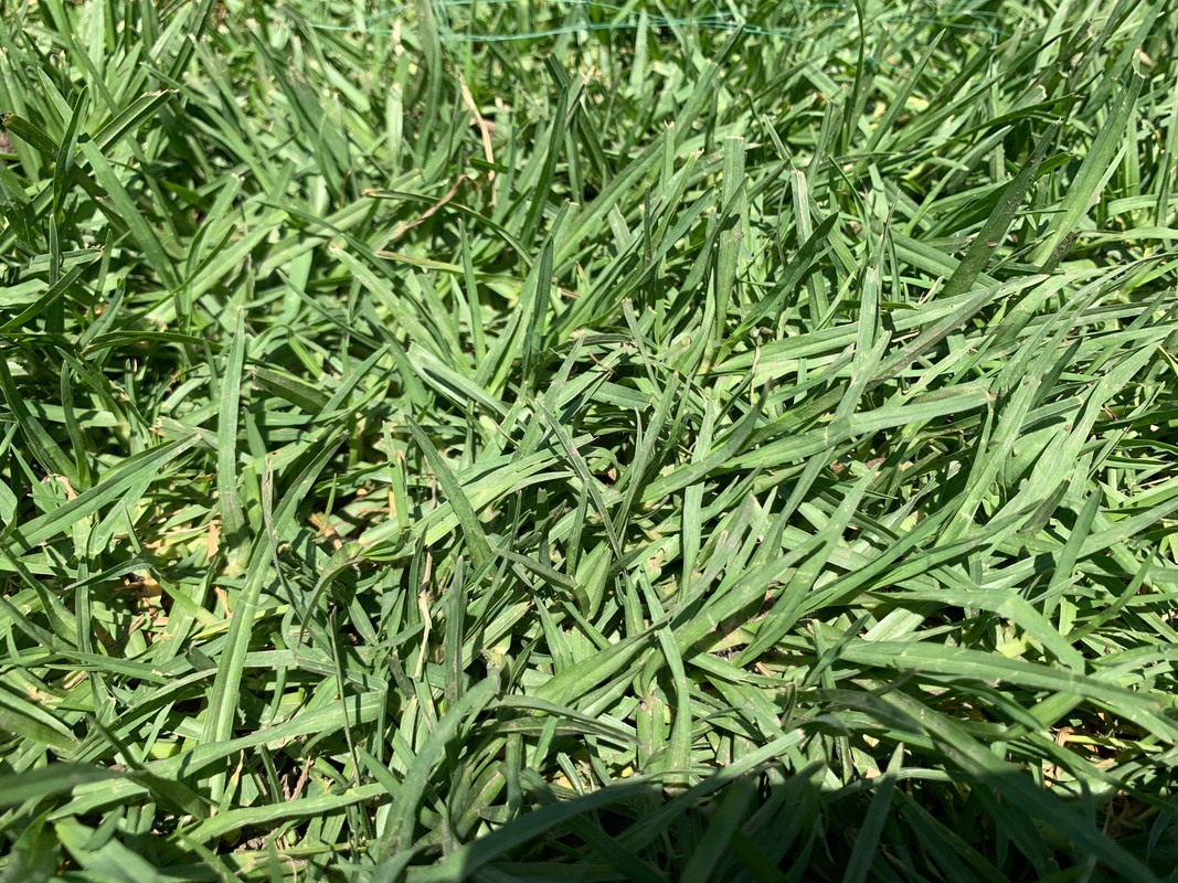 8E7D5744-F706-4260-980D-3980E56146B4