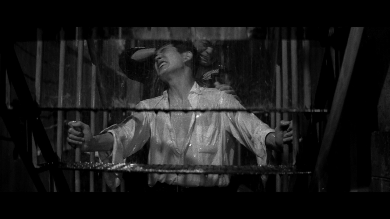 vlcsnap-2025-07-13-02h41m21s720