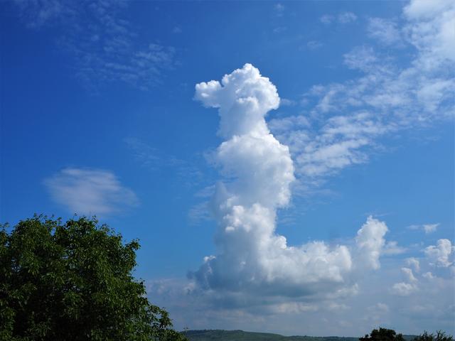 Kép