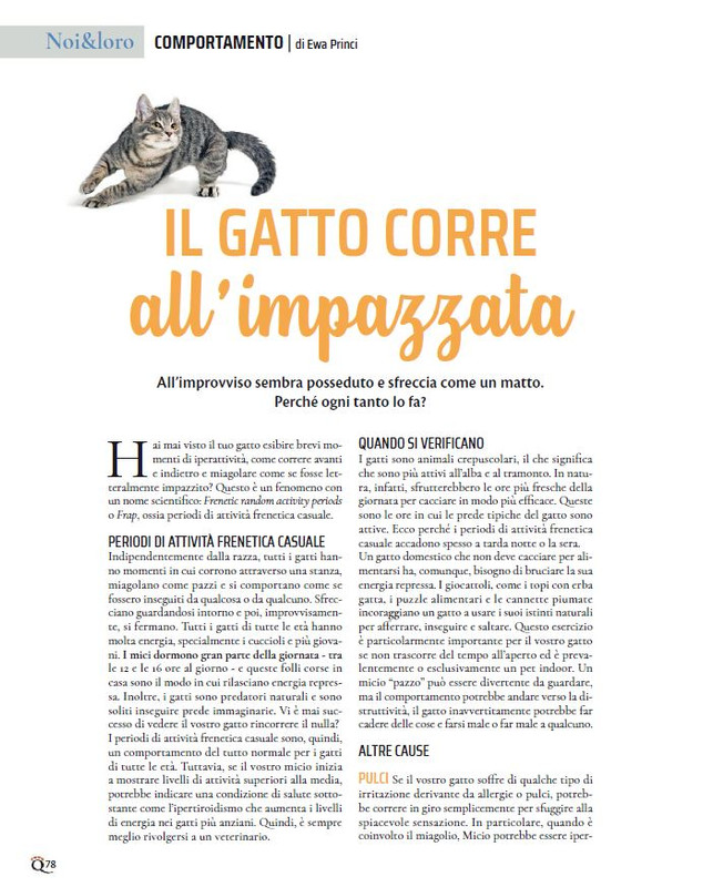 QuattroZampe Set 2023 (9)