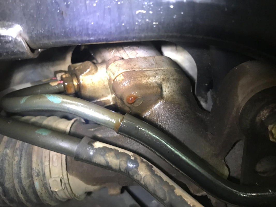 WhatsApp Image 2019-02-07 at 16.44.48 (1)