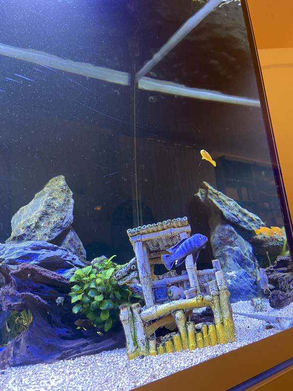 92725198-CF2F-4588-A6DC-3B3EB21DE559