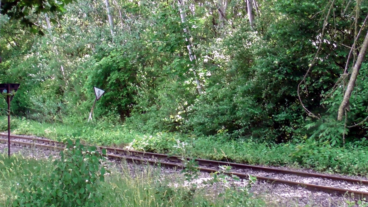 S1470152