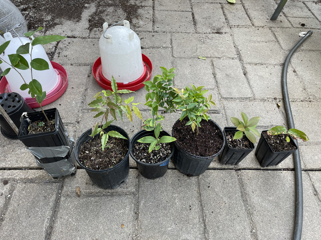 661DC9E4-A80D-4B96-BC1A-F87CBE54F8D4