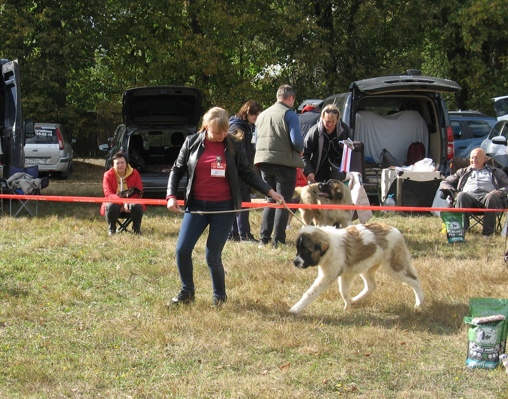 002 ПОСАДСКАЯ СТРАЖА ВАЙС 2