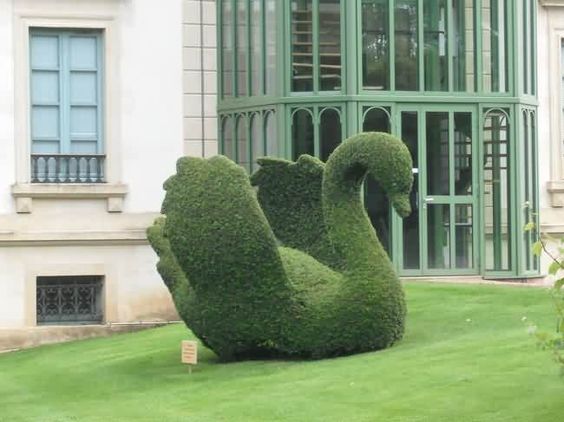greengrassysw-an.jpg