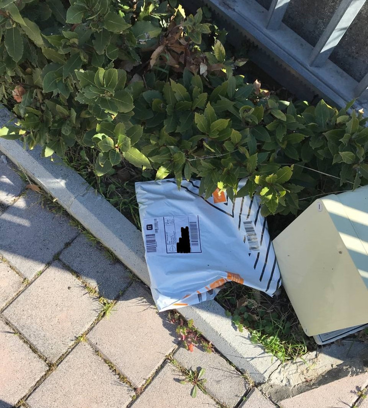 photo5913439083873547363