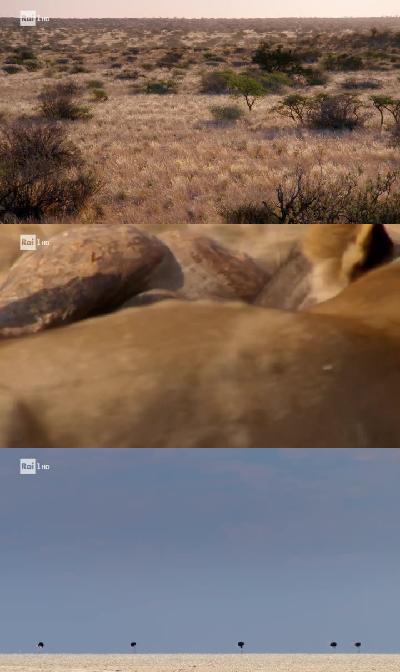 Superquark Natura (31.07.2019) .mkv WEBRip x264 AAC - ITA