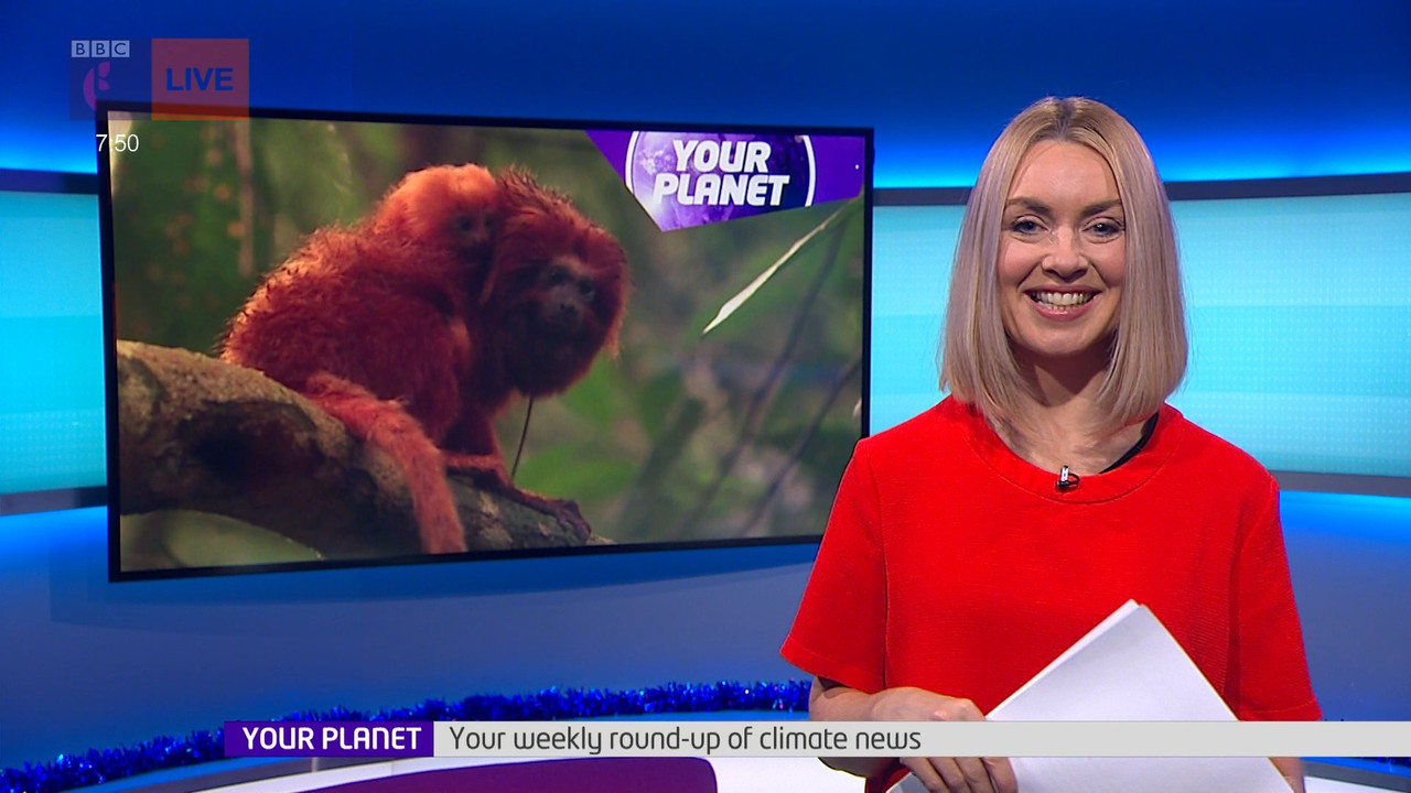 Newsround_20211215_07450755.ts_snapshot_06.51.470