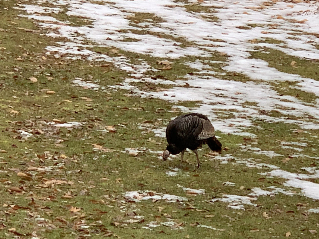 B5A4547A-E379-4535-B11D-777268187183