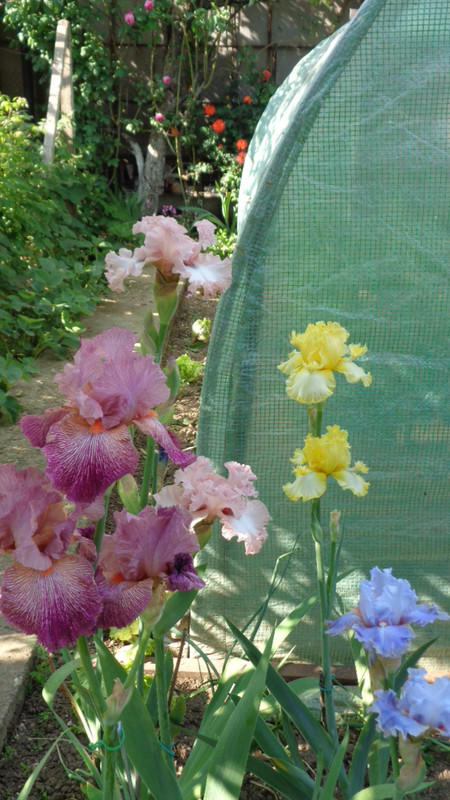 DSC04805