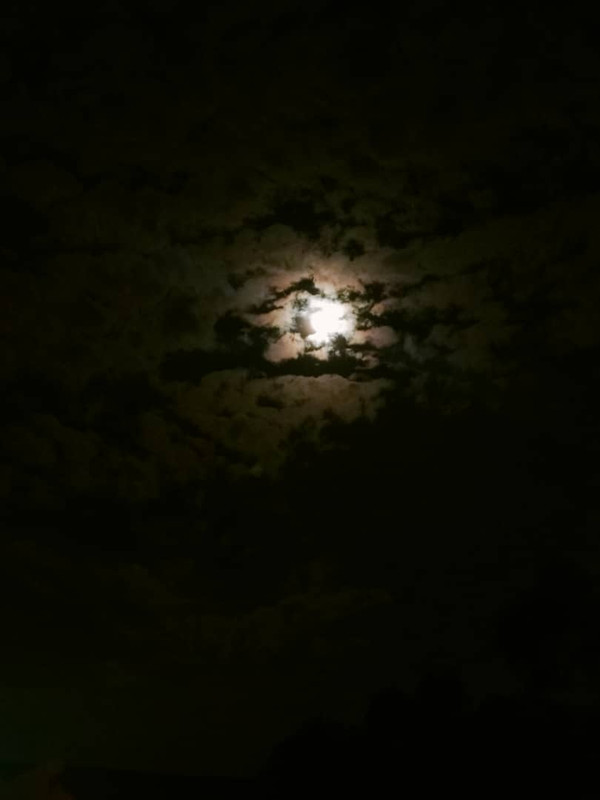 IMG-20230801-WA0005