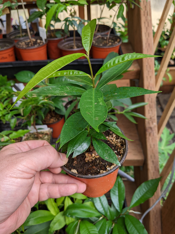 PXL_20230724_190443737.MP