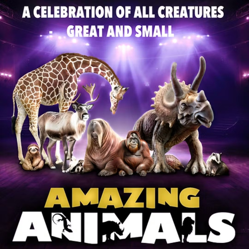 1623097-ba780a2d-amazing-animals-live-eflyer