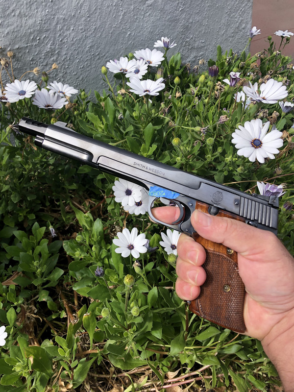 E2258501-BF4E-4CDE-AA70-2ED6FDF6E580