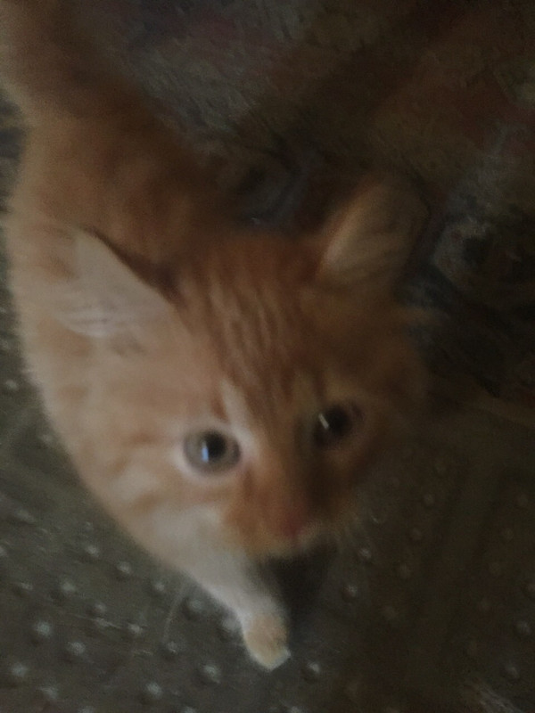 3E892A46-CE23-433B-81BF-1062DF06CAD5