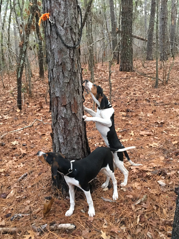 F40697D1-6699-4FF9-923C-AED7E078C0B7