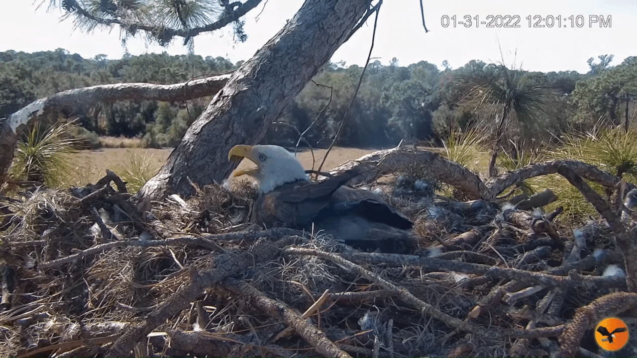 Webp.net-gifmaker (5)