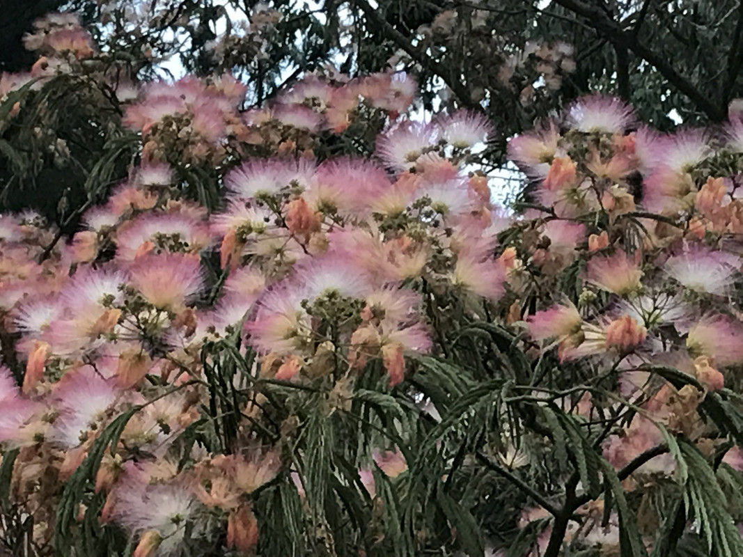 02737C24-9EEA-427A-8BD1-079D662D18F3