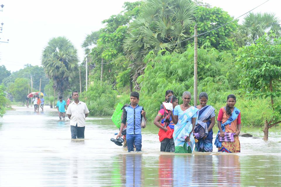 45623293-2389736801041904-52560030449396