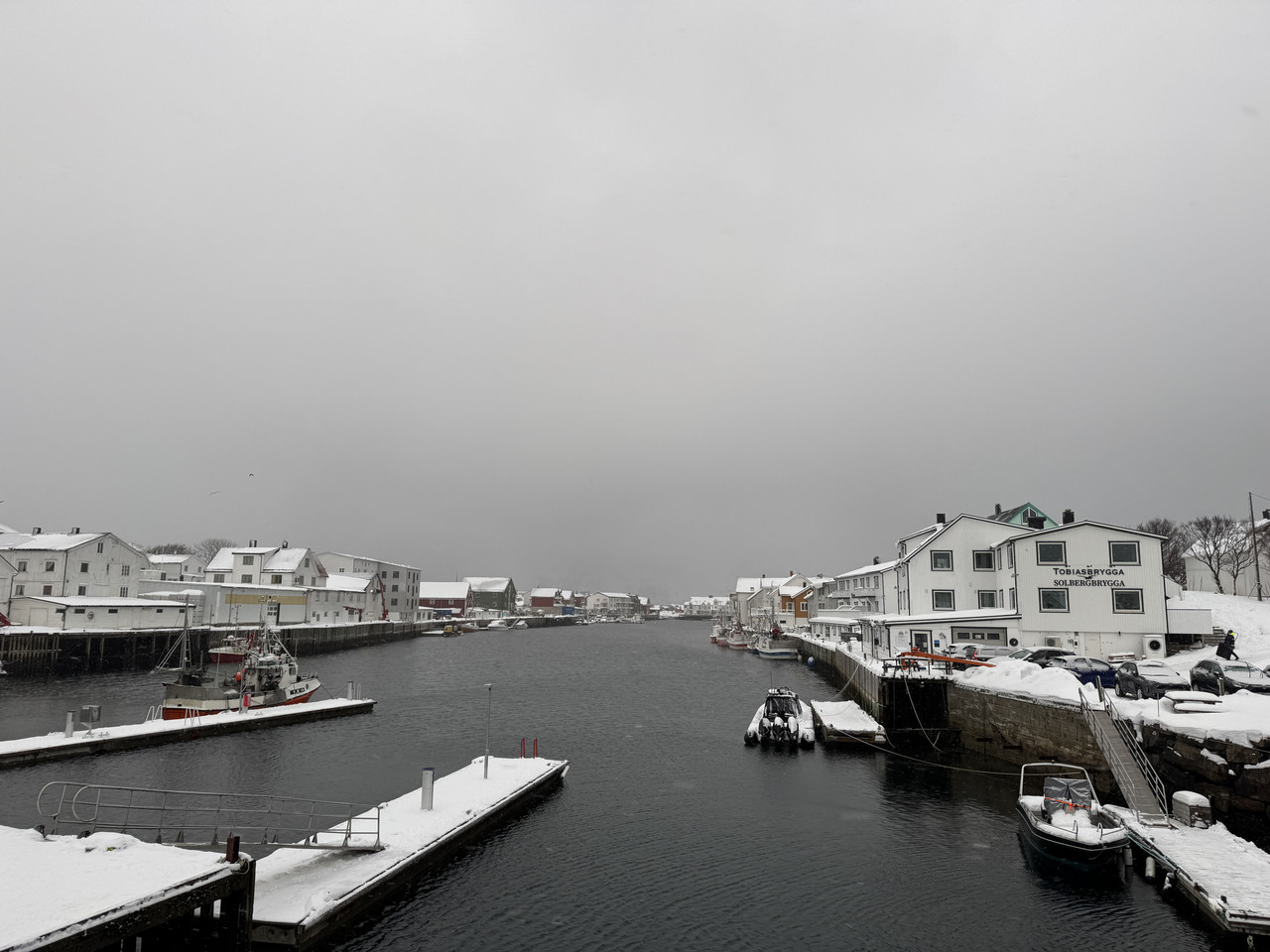 [Immagine: IMG-8584.jpg]