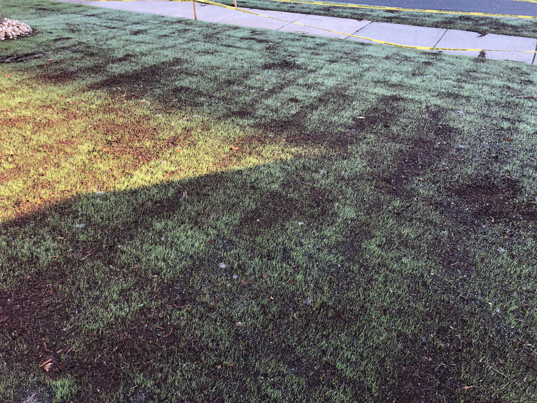 937E23EA-EF79-4E2E-B339-B04E5429335F