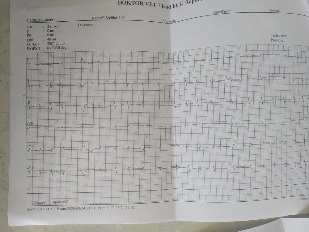 4D0FFBC8-12D1-4189-91DF-5A836FF5D90B