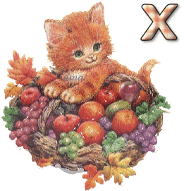 El Gatito y las Frutas  X