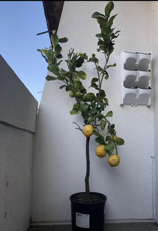 C6EACC7C-CA46-4A45-BF62-E880C8C5E043